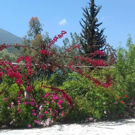 Beach House Lefkada 펜션